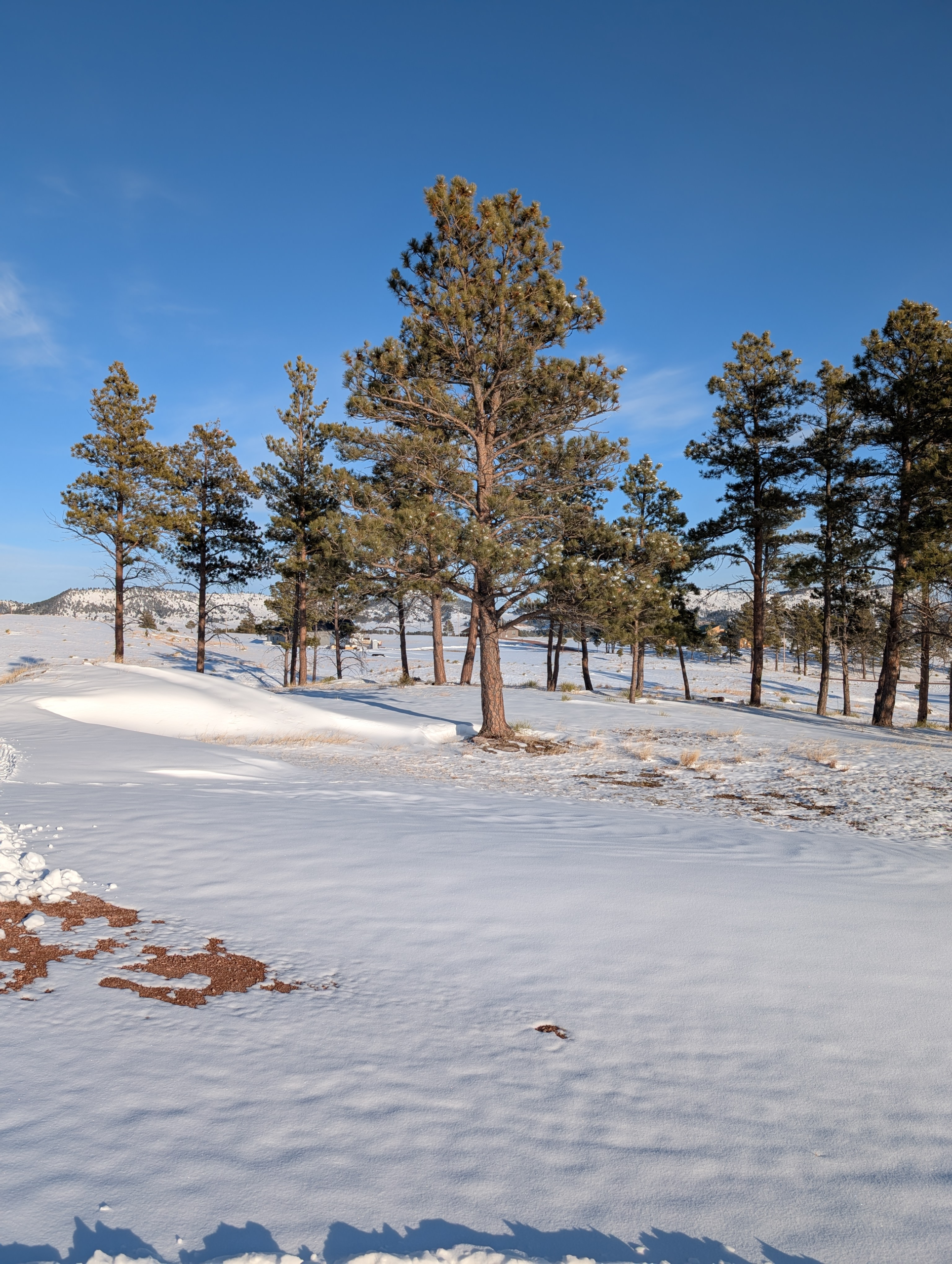 PXL_20250307_233427542