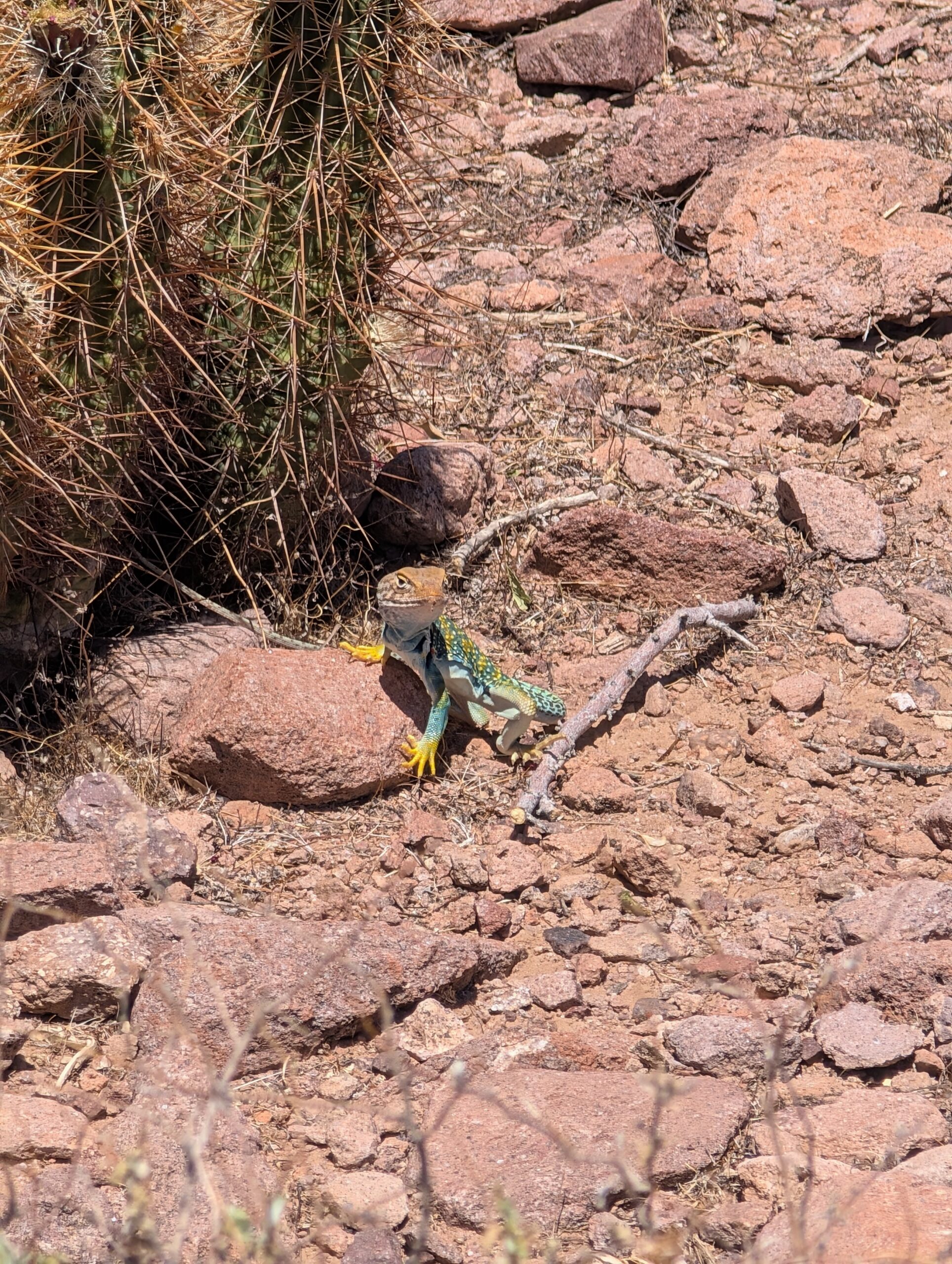 PXL_20250420_190035615