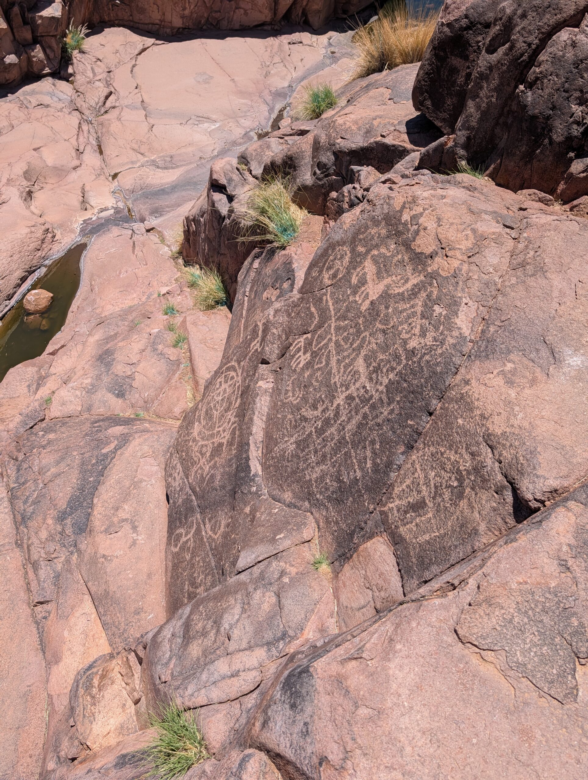 PXL_20250420_200331326