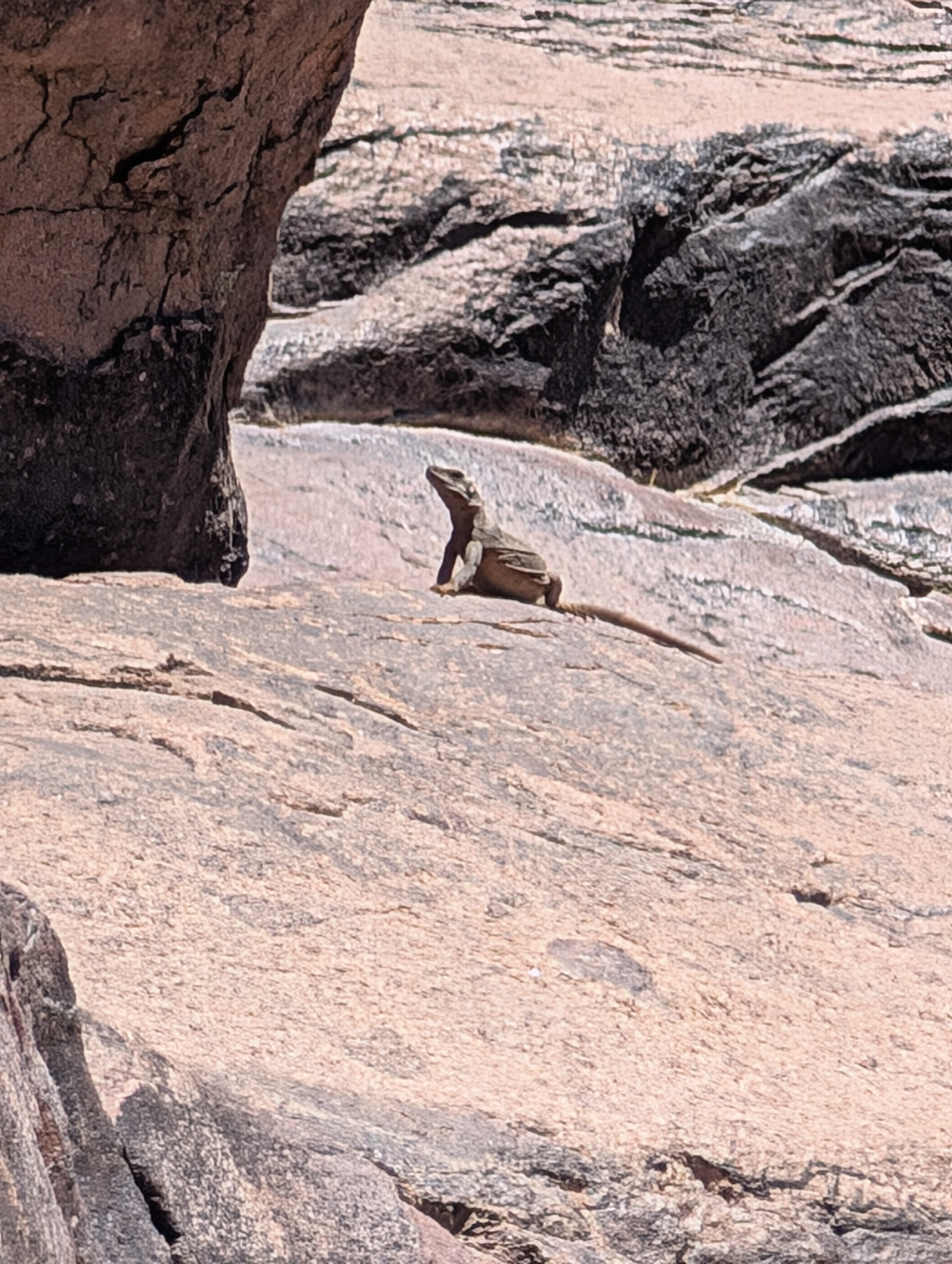 PXL_20250420_200918852