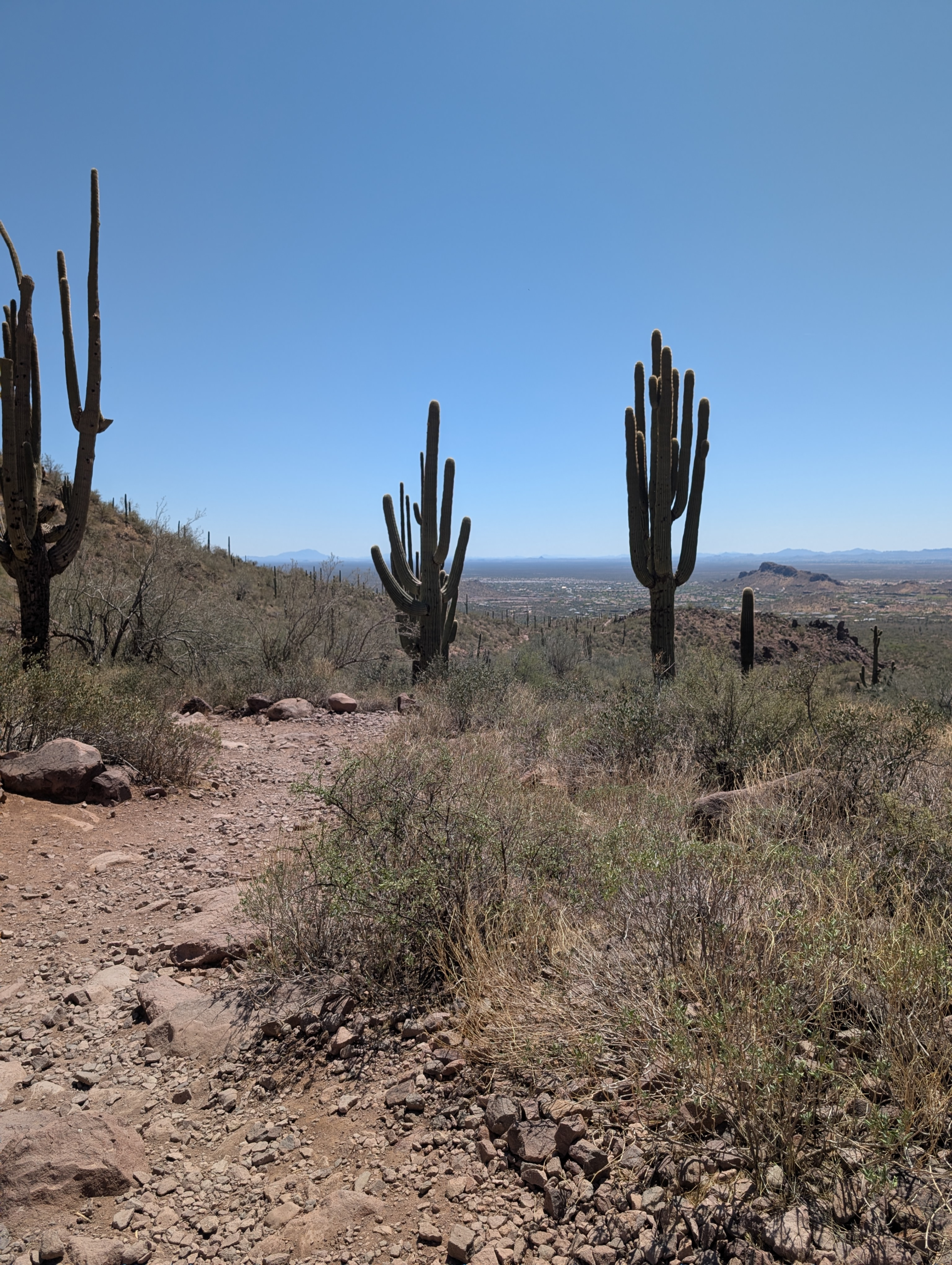 PXL_20250420_202158558