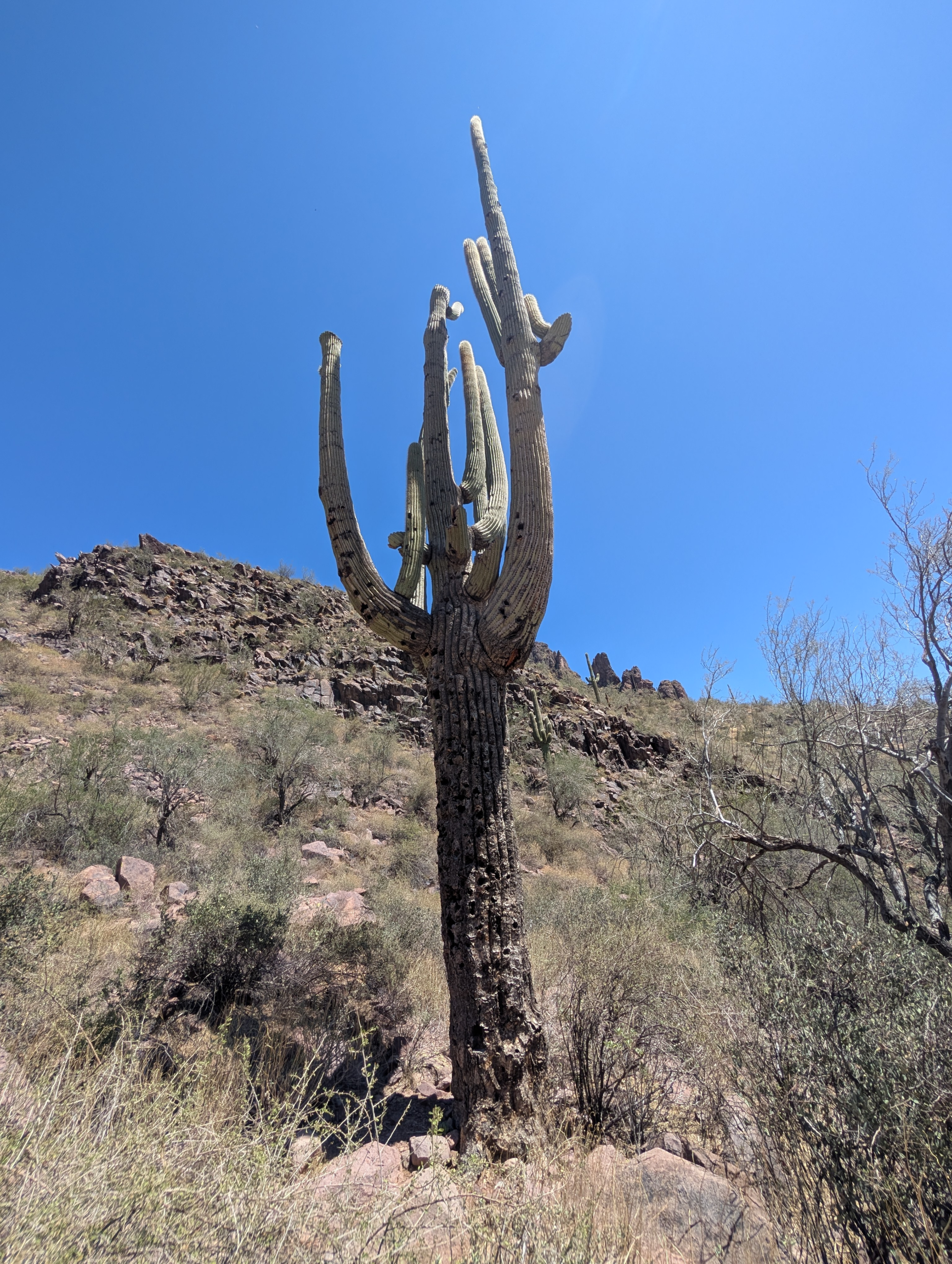 PXL_20250420_202307839