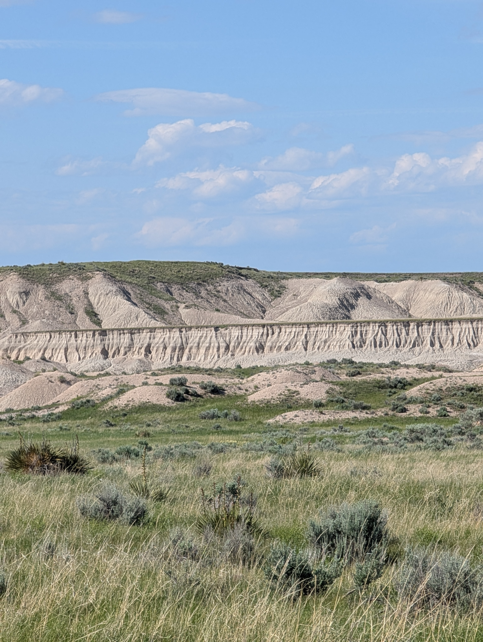 PXL_20250607_222906752