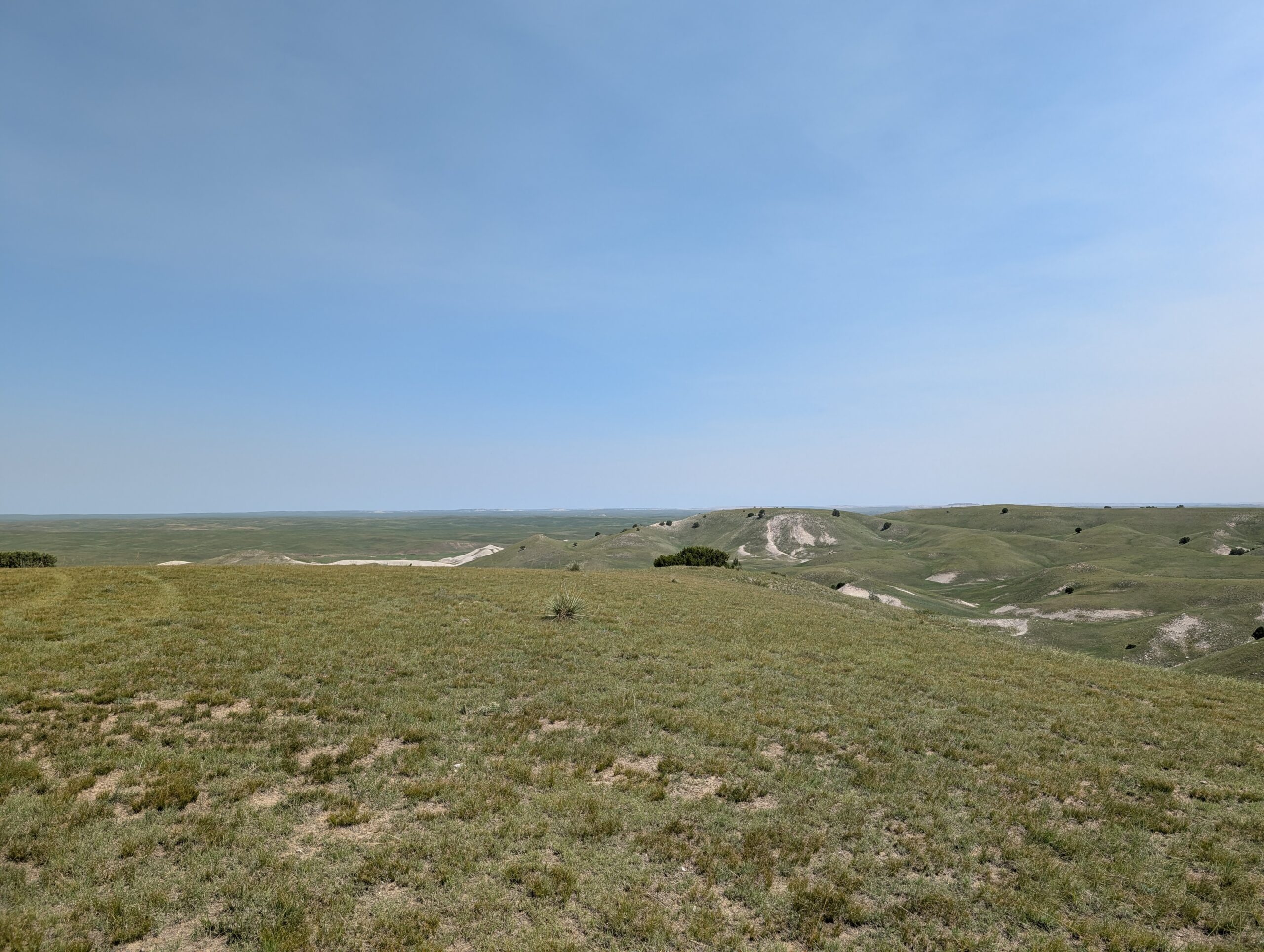 PXL_20250621_165808066