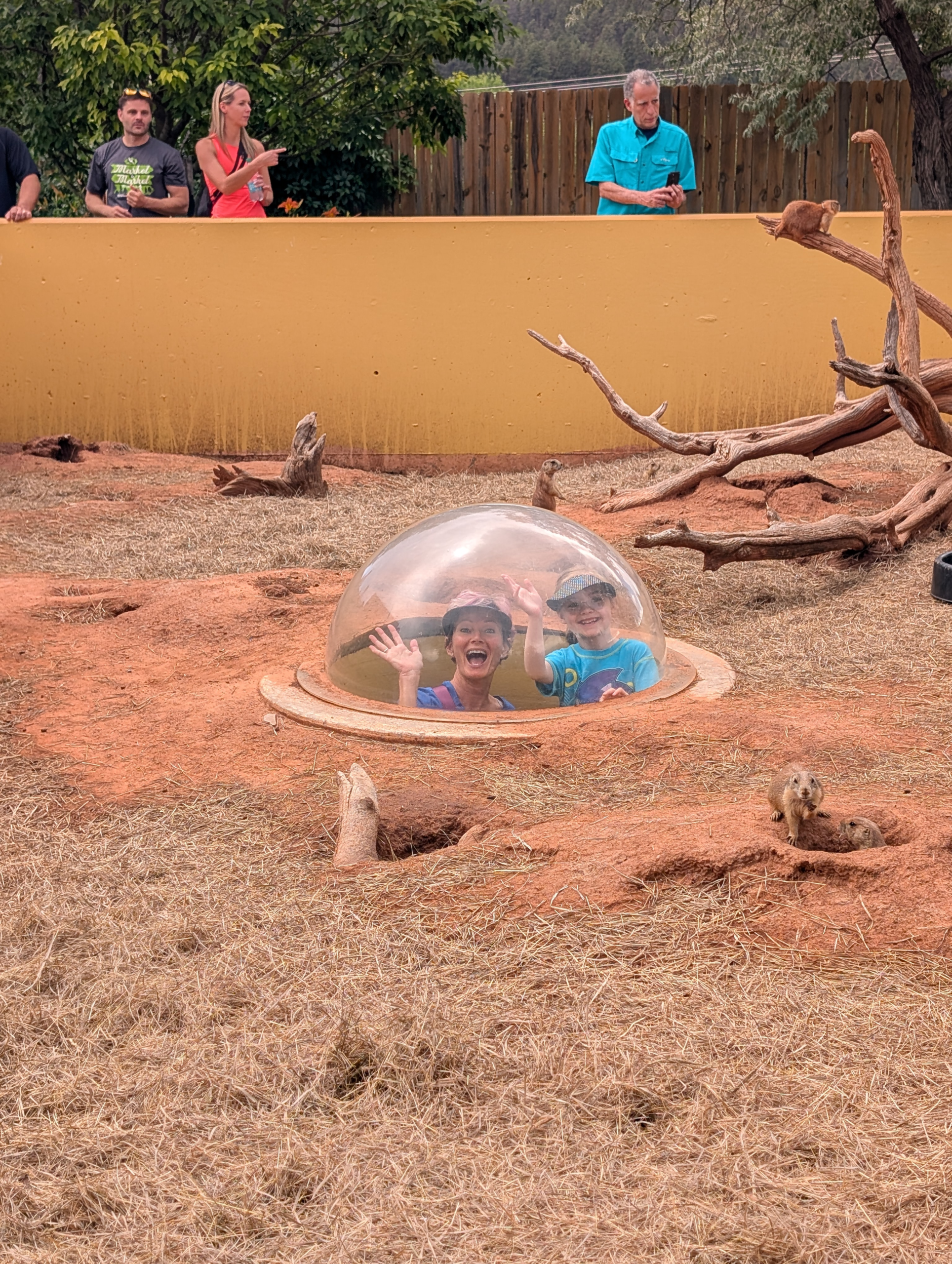 PXL_20250708_190840185.MP