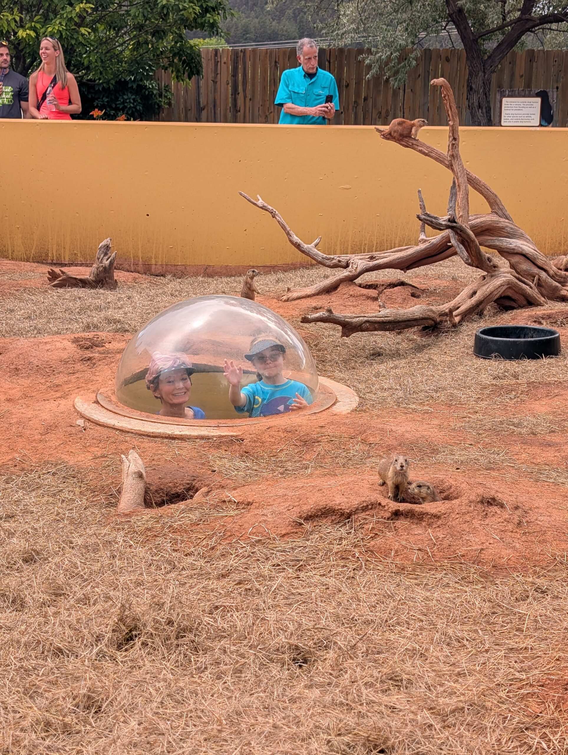 PXL_20250708_190844980.MP