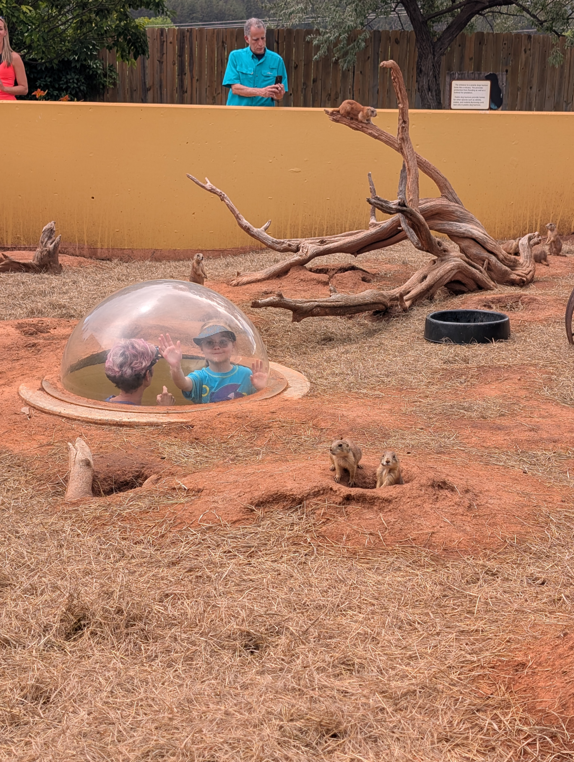 PXL_20250708_190847057