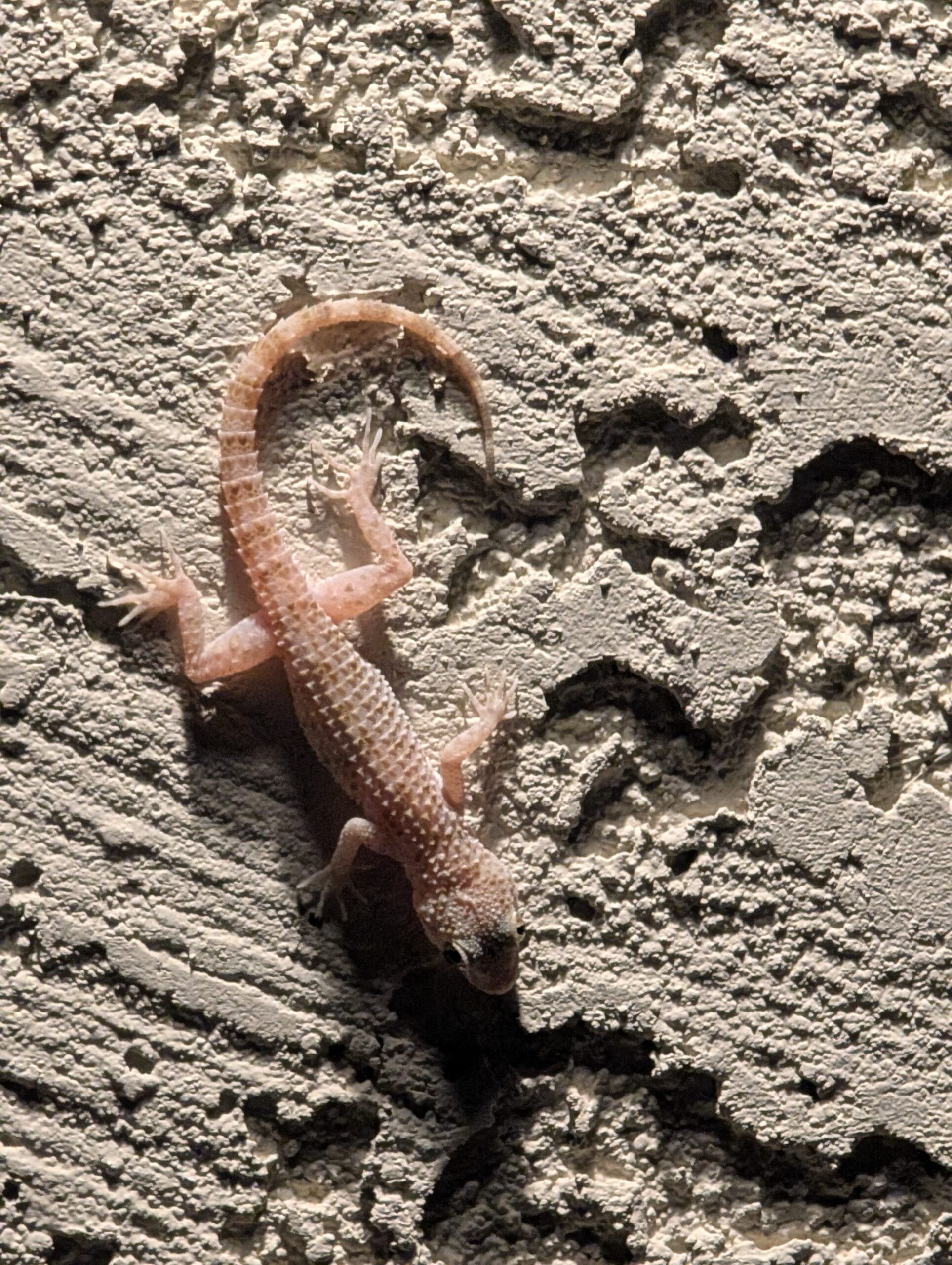 PXL_20250812_025406301