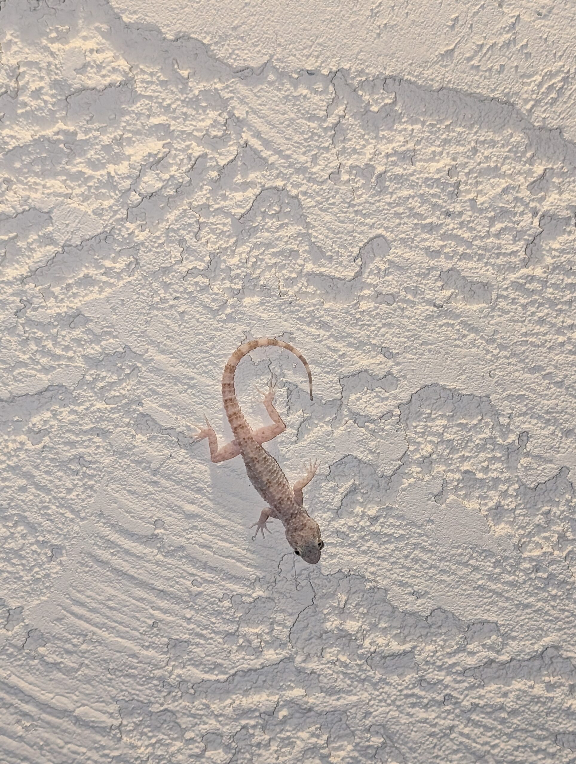 PXL_20250812_025430158