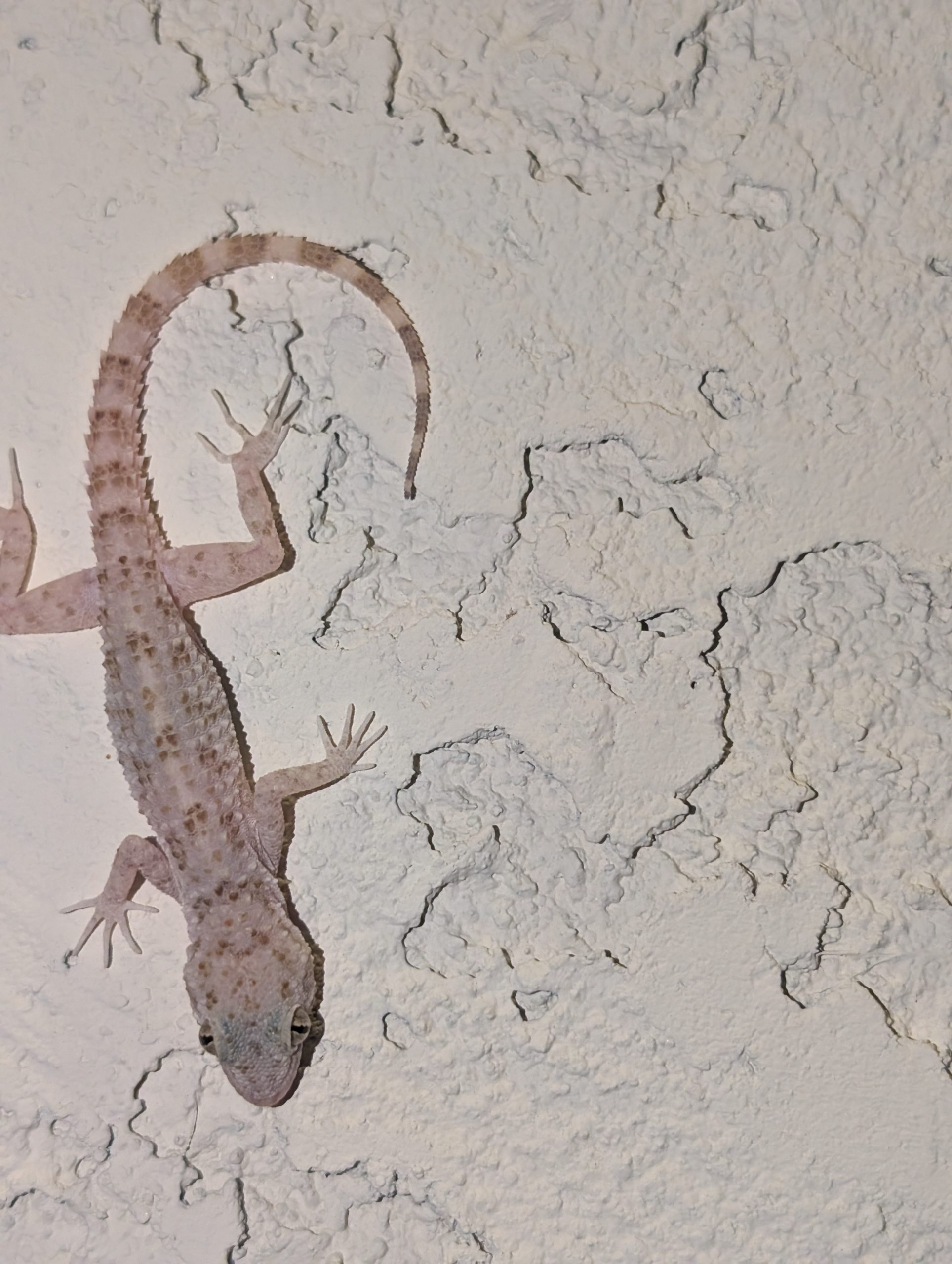 PXL_20250812_025452141