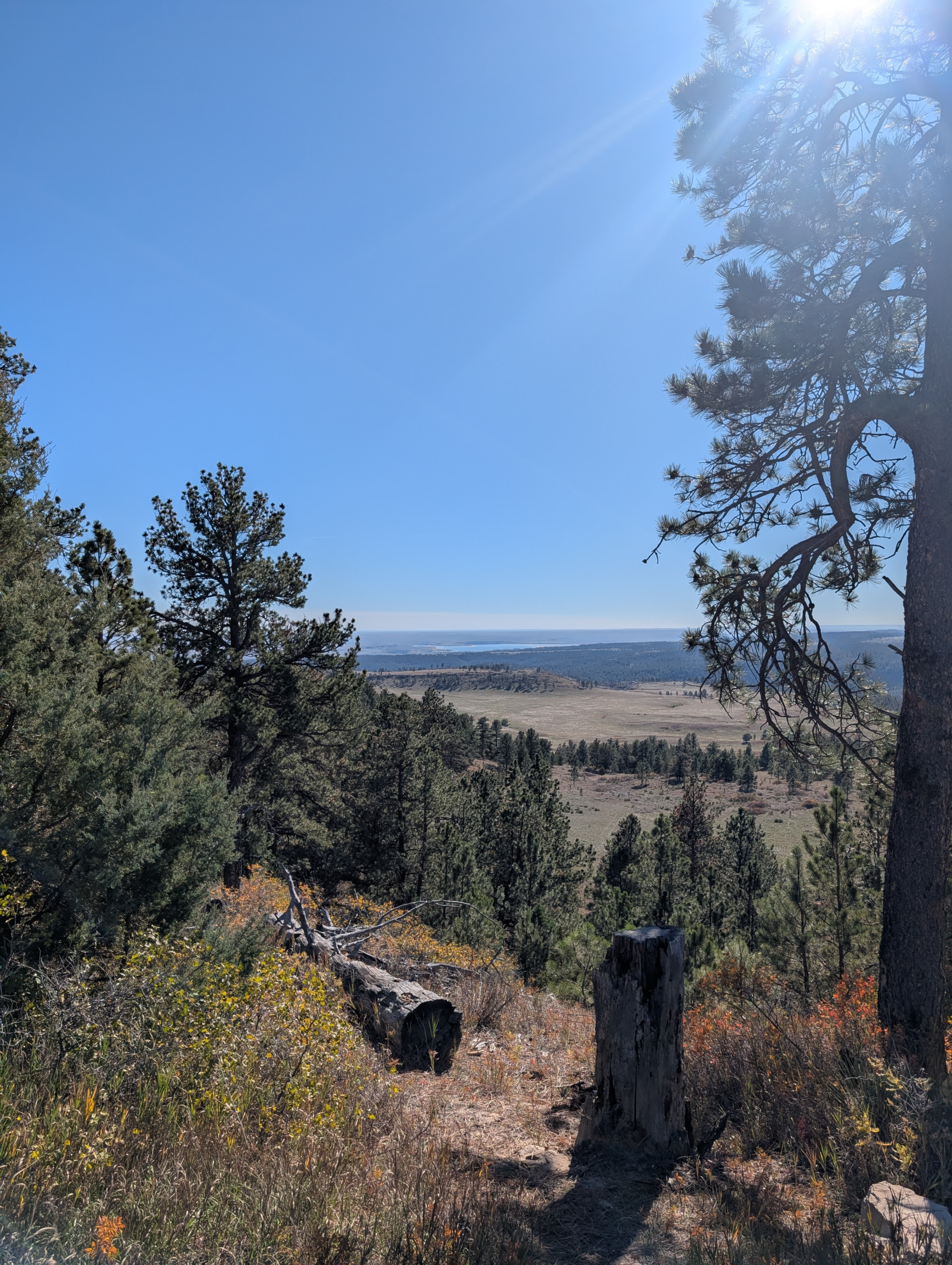 PXL_20251025_191659530.MP