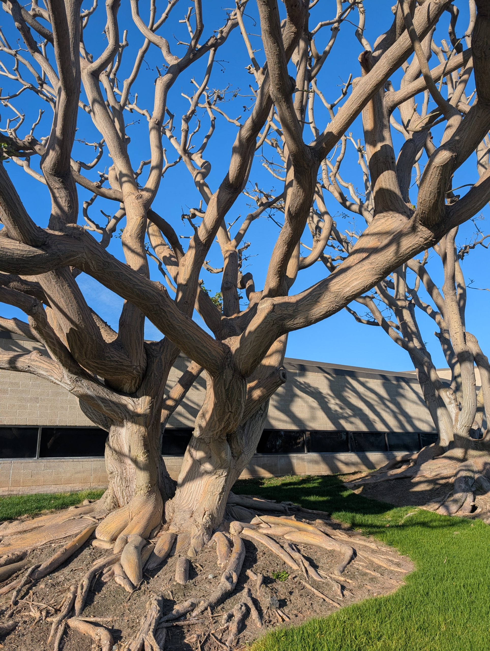 Learn how to improve Google rankings, boost local SEO, and reach the top three Map Pack results to generate more leads and sales.