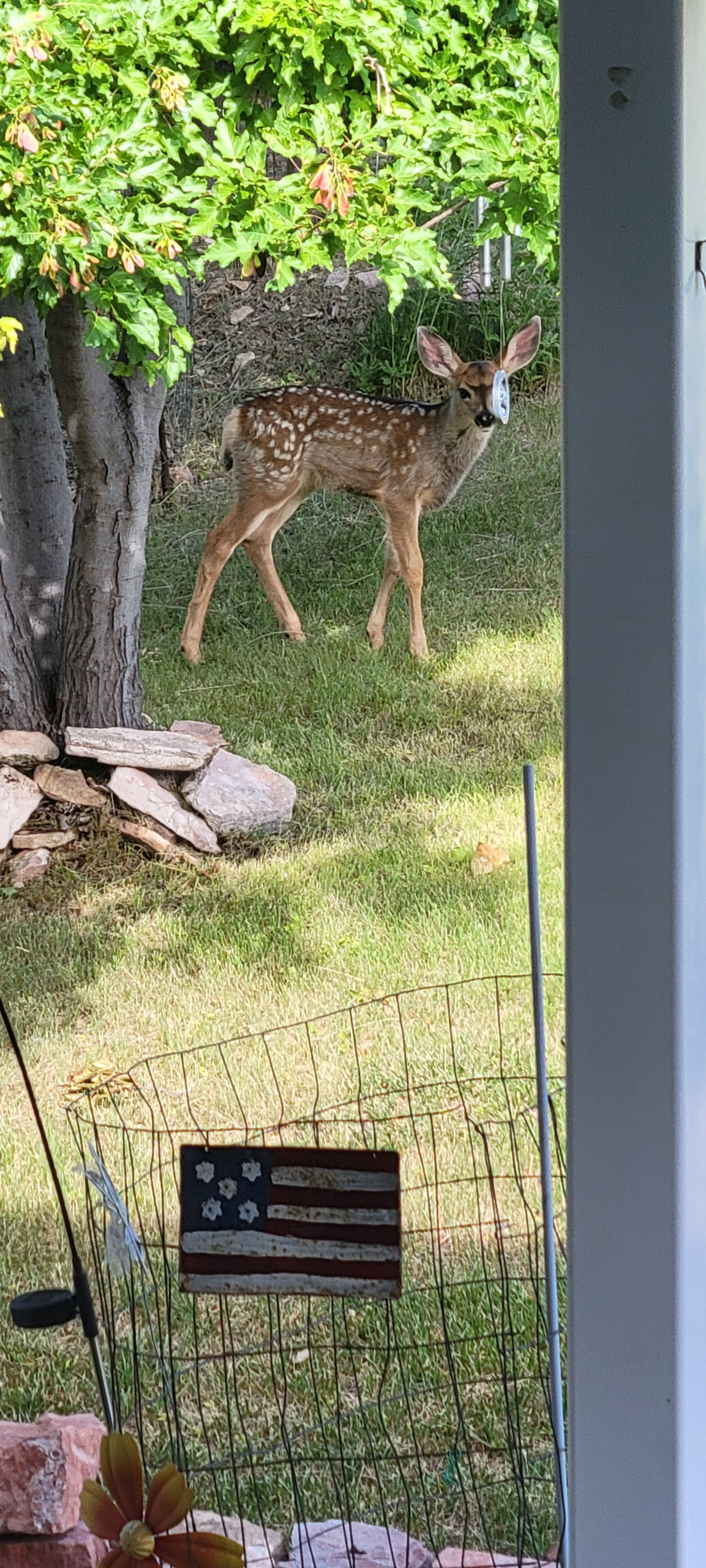 Phoenix-valley, How do I align my website with my business goals, national-ranking, web-hosting, seo-ranking, google-ranking, web-design, digital-marketing 2