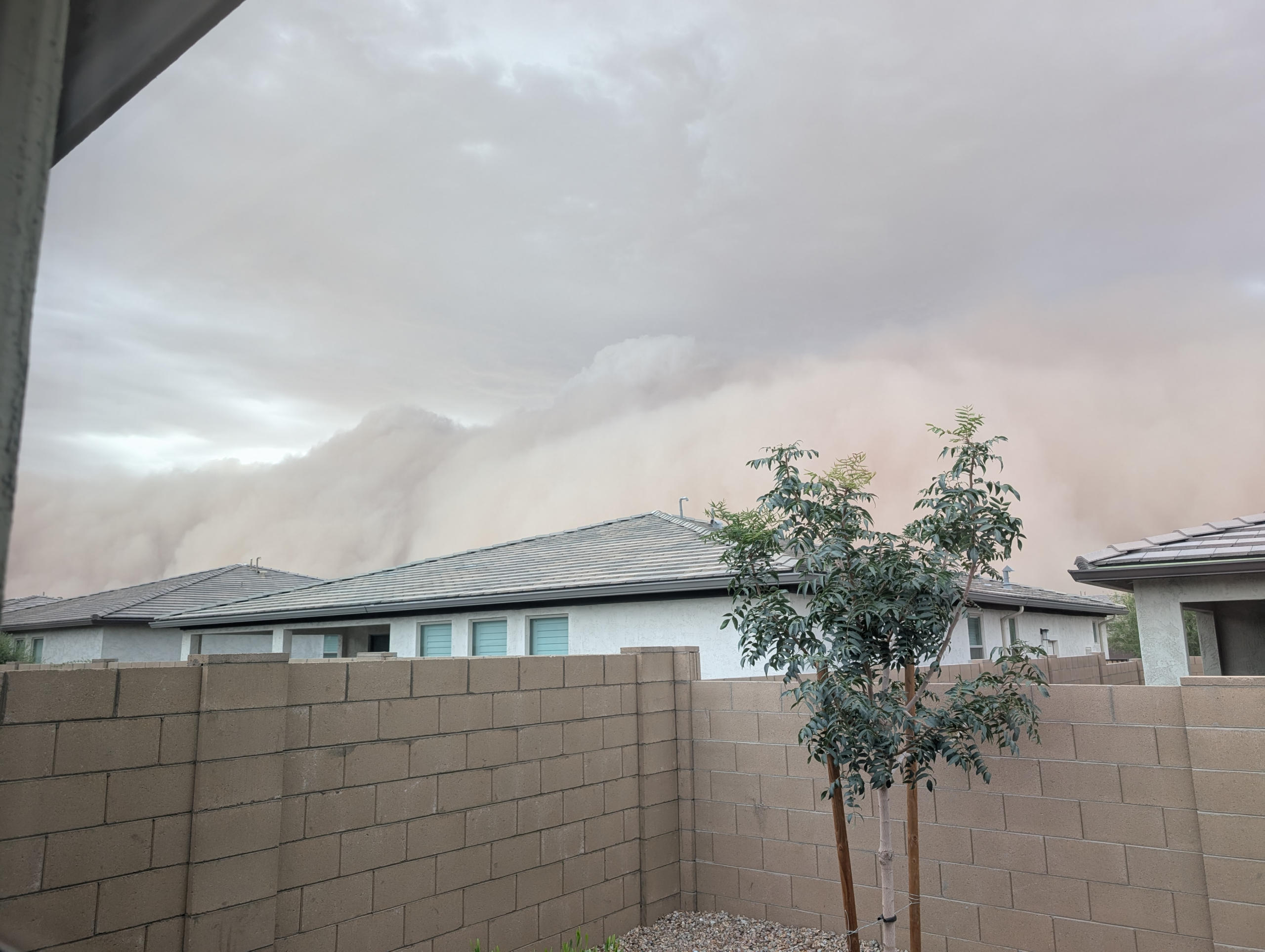 Expert web design and SEO services in Western South Dakota, including Rapid City, Spearfish, Sturgis, and the Black Hills. Custom websites for small businesses.


